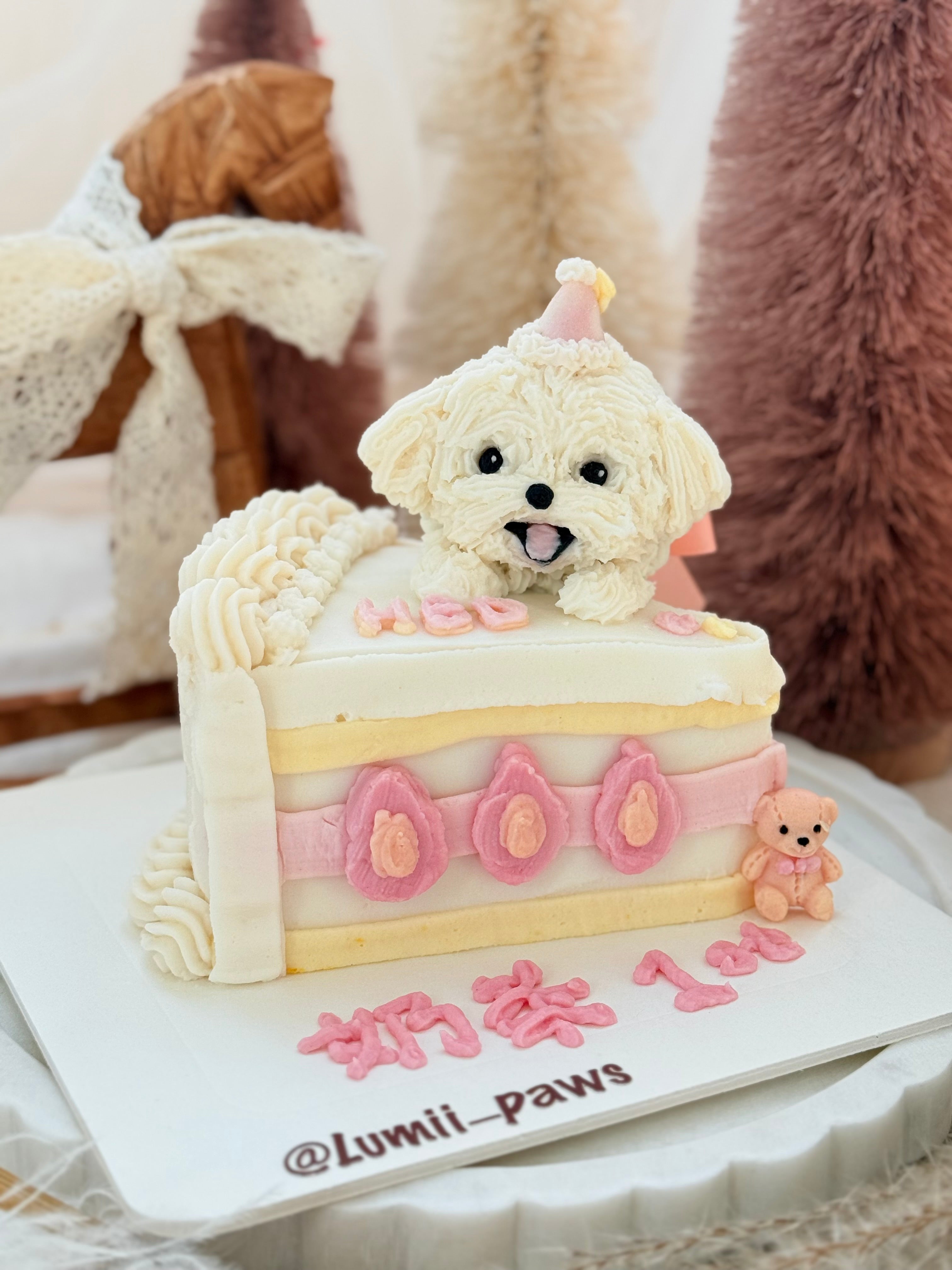 【Customized】“Cake” Theme Pet Cake