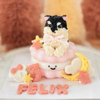【Jellycat Series】3inch Jellycat Pet Cake