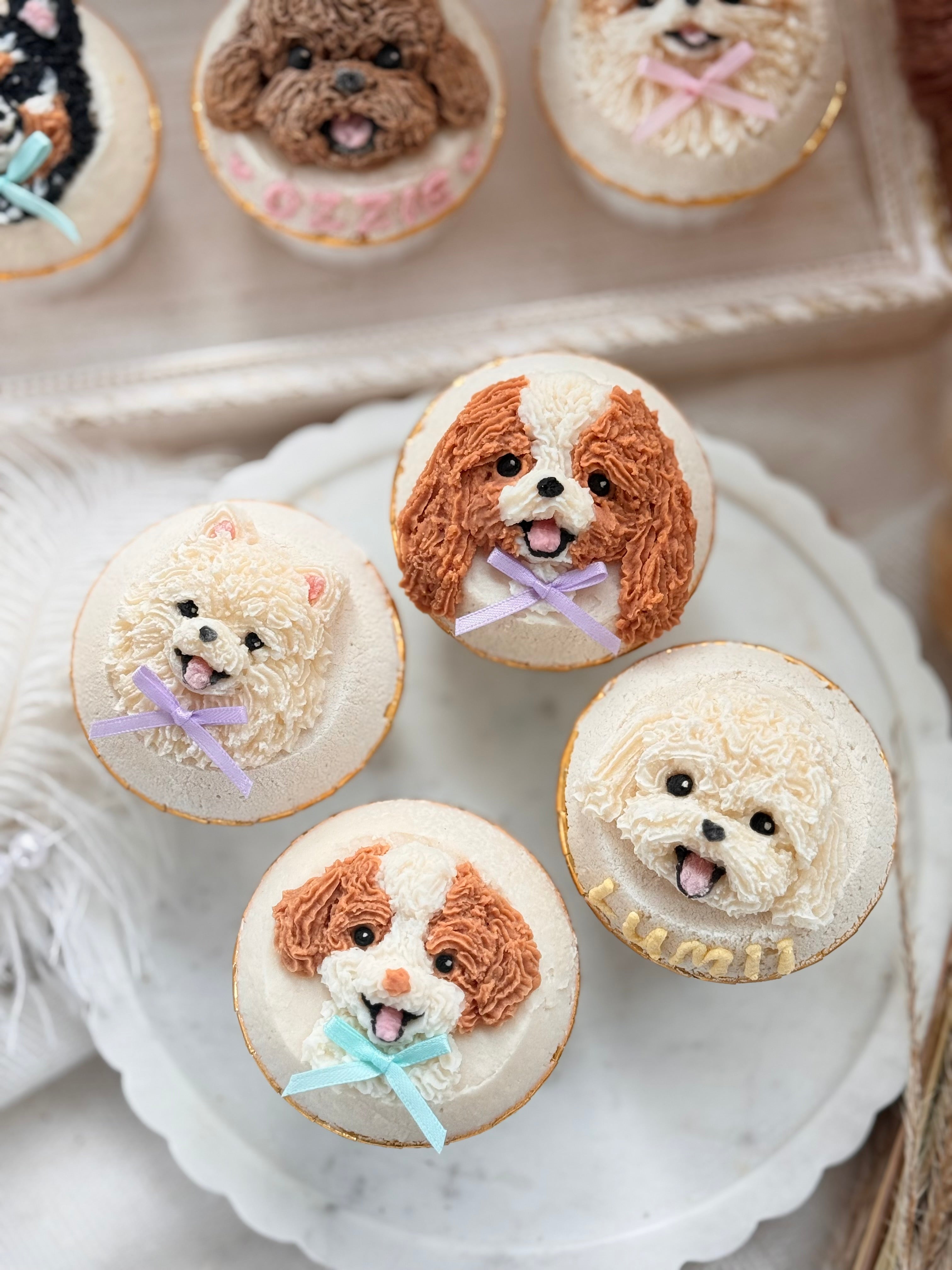 【PupCake Series】2D Pet Cupcake