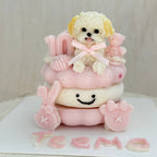 【Jellycat Series】3inch Jellycat Pet Cake