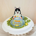【Customized】Adventure Ride Pet Cake