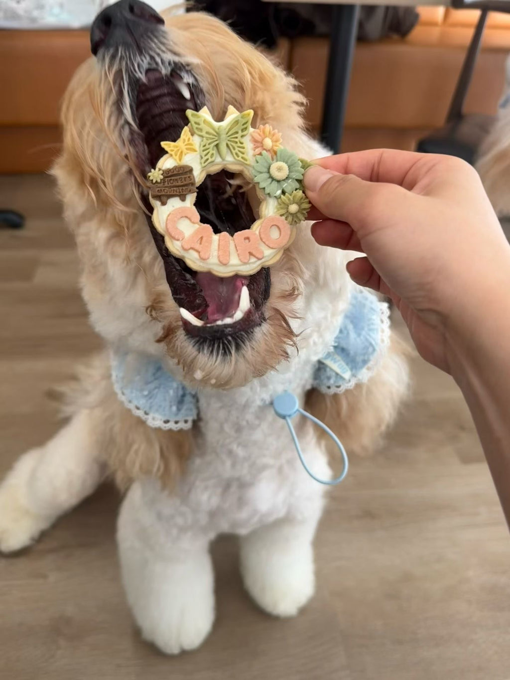 【Biscuit】Custom Wreath Biscuit