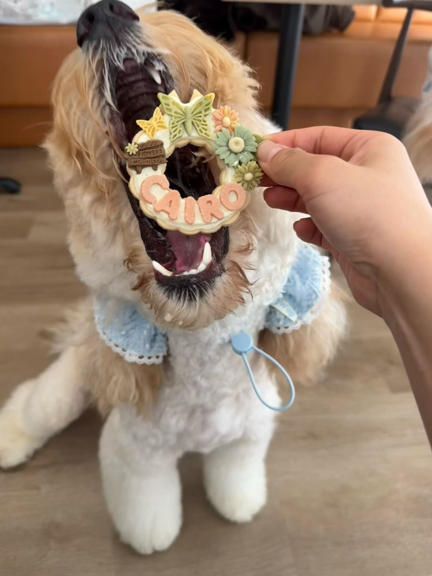 【Biscuit】Custom Wreath Biscuit