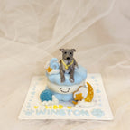 【Jellycat Series】3inch Jellycat Pet Cake