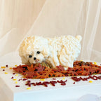 【Pet Figurine】poop