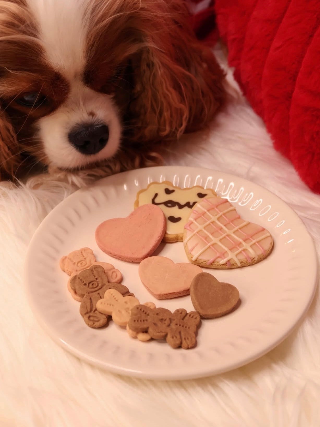 💗 Valentine’s Day Limited Cookie Set