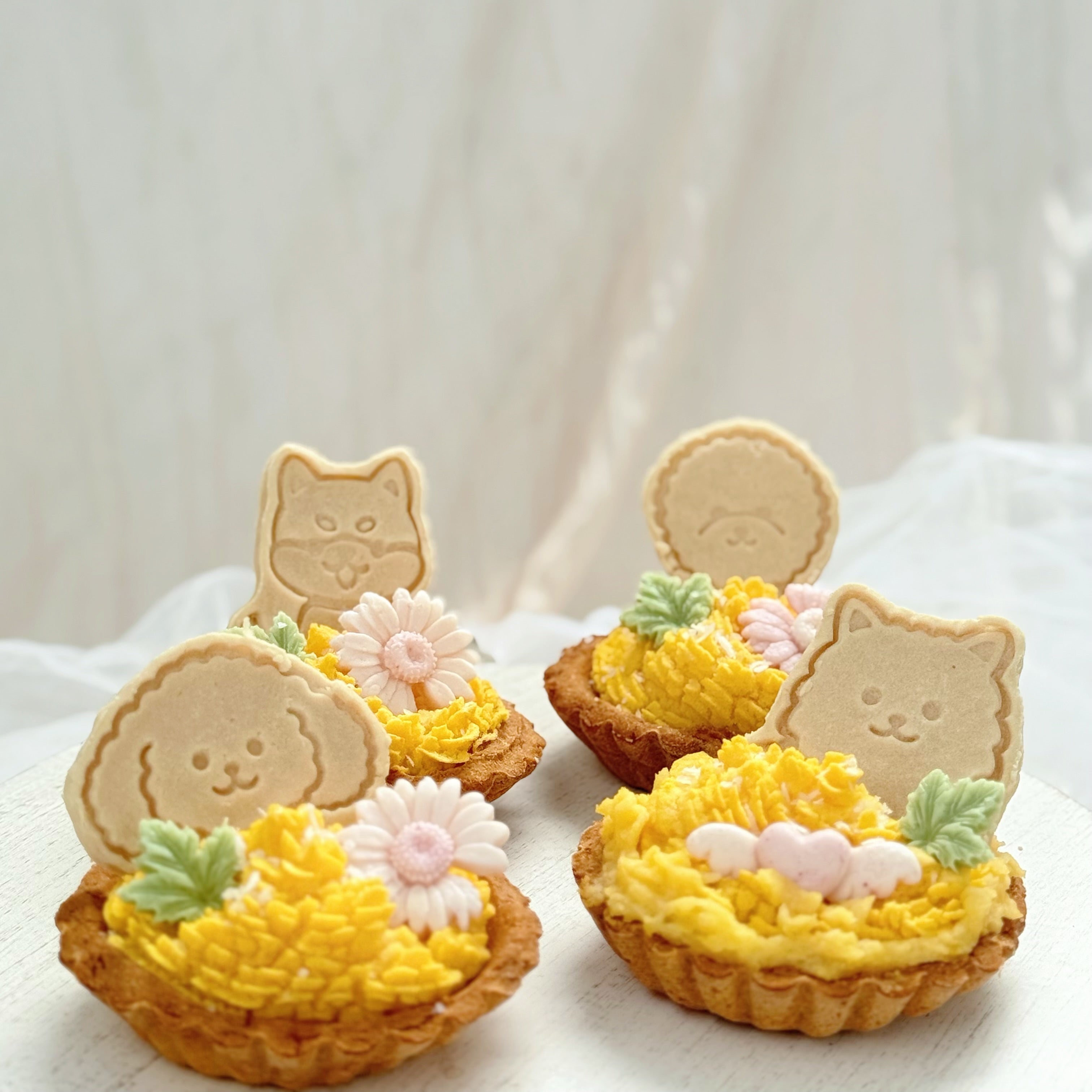 【Baked Treat】 Pumpkin Pup Tart