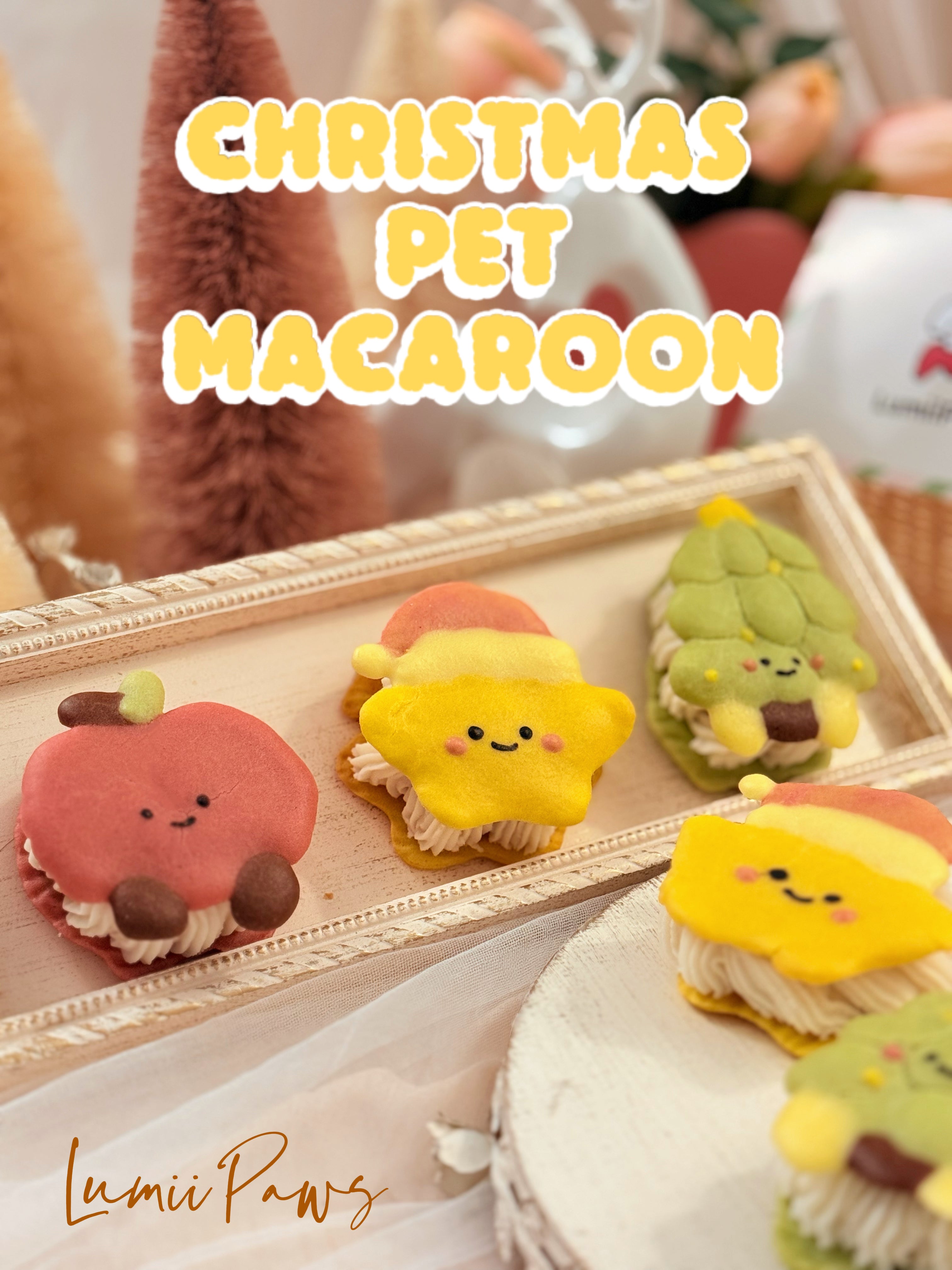 【Holiday Set】 Christmas Macaroon