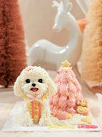 【Holiday Set】 Christmas Special Pet Cake
