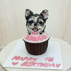 【PupCake Series】Pet Cupcake