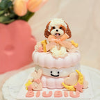 【Jellycat Series】4inch Jellycat Pet Cake