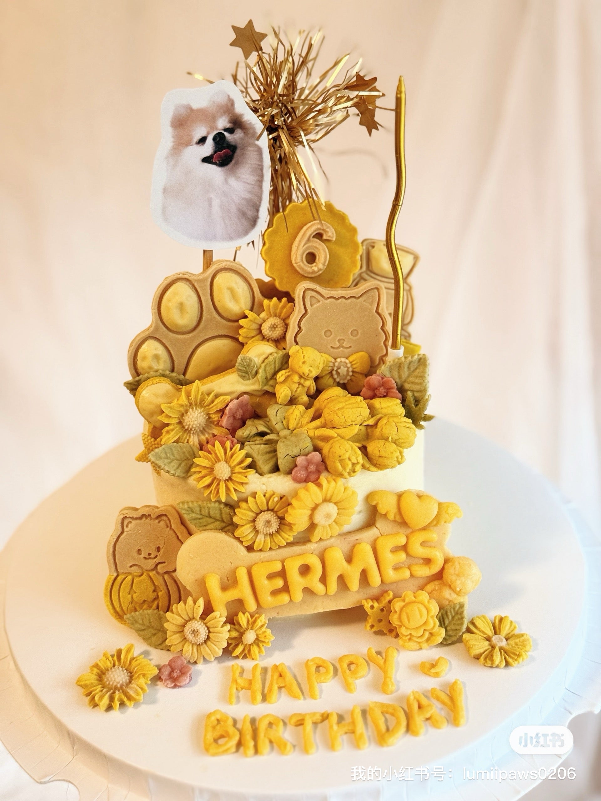 【Customized】5 inch Cookie Wonderland Pet Cake 🍪✨