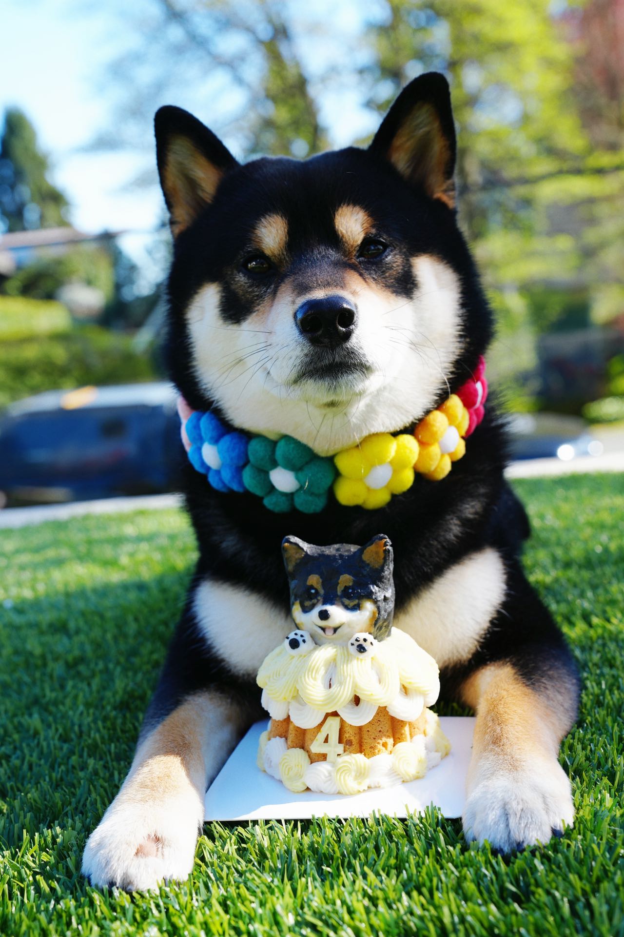 【Pupcake Series】3D Pet Pawndt Cake